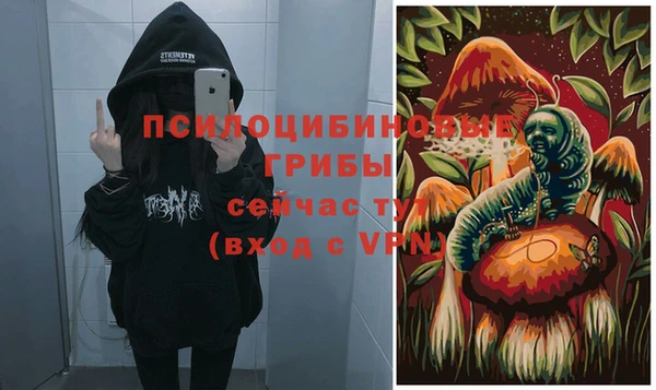 MDMA Premium VHQ Каменка