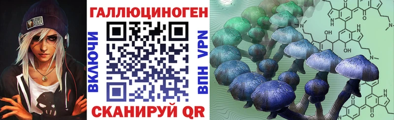 Псилоцибиновые грибы прущие грибы  Купить где  Домодедово 